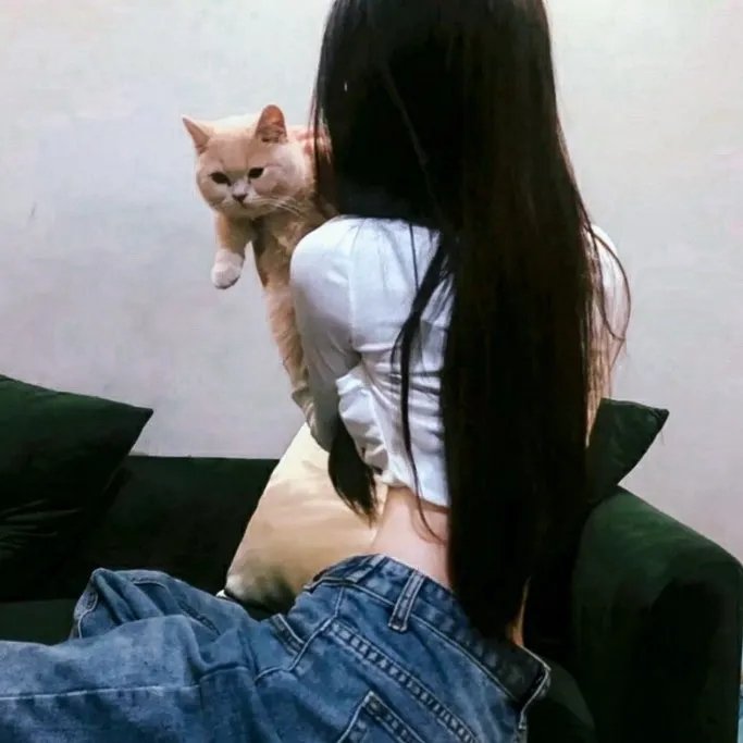西游记之三件宝贝