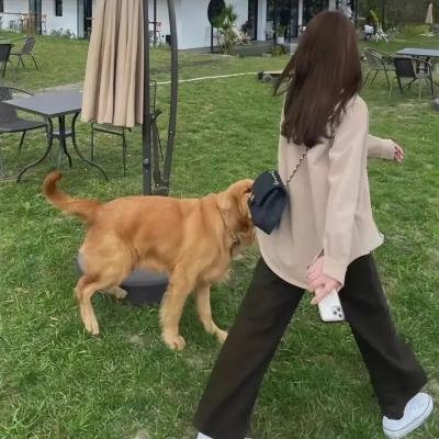 时之歌—花与焰的狂想诗