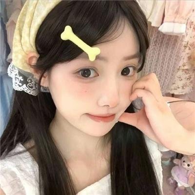 借口公司2